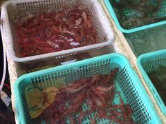 -外伶仃岛海鲜市场