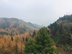 -山王坪喀斯特国家生态公园