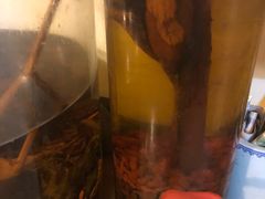 -裕德孚·非遗手切涮羊肉(东直门内大街店)