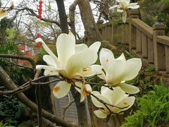 -乌山风景区
