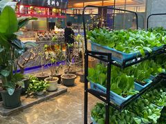 -苏格里岛自助海鲜火锅烧烤(大汉悦中心店)