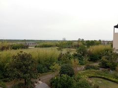 -上海崇明金茂凯悦酒店