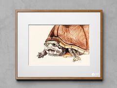 -美路缘艺术空间