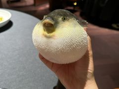 -肆月河豚·淮扬菜·湘菜(华天店)