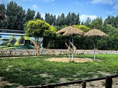 -北京野生动物园