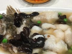 -蝶园·装修中(BFC外滩金融中心店)