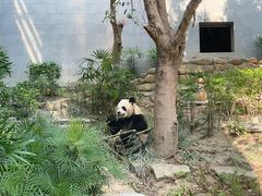 -石排湾郊野公园