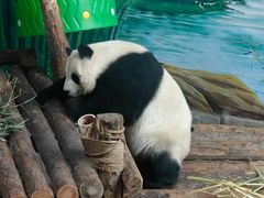 -青藏高原野生动物园