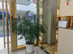 -CICI纤美·科技减肥美容