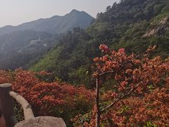 -木兰云雾山