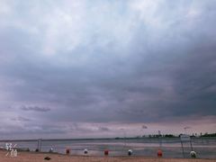 -碧海金沙