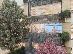 -鲜果时间·果蔬茶(赛格负二层店)