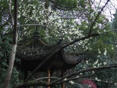 -杭州植物园