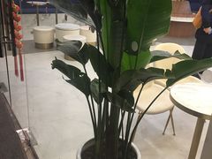 -CoCo都可(中联广场店)