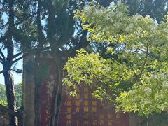 -无染寺