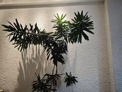 -Cafe on warm(丹霞店)