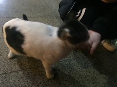 -台湾小竹(华宇广场店)