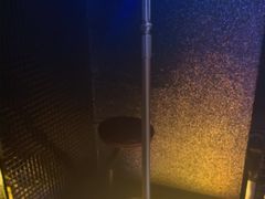 -天界丽都(友好店)