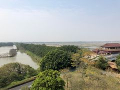 -大湾区中央湿地公园