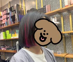 -付军剪艺
