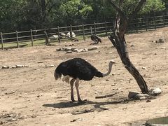 -西安秦岭野生动物园