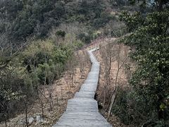 -大罗山风景区