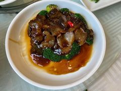 翡翠鲍汁扒海参-江南村酒家