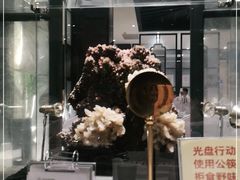 -桂林会展国际酒店-御园