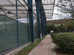 -成都高新创新角度网球俱乐部