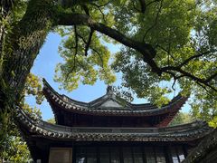 -天一阁博物院