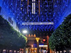 -佛山顺德香云纱园林酒店(清晖园店)