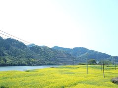 -新安江山水画廊风景区