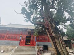-中岳庙