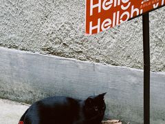 -HelloHi Vintage中古店