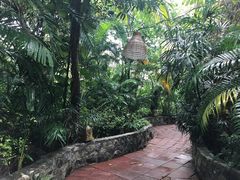 景观位-卷心菜和避孕套餐厅(Pattaya)