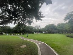 -顺峰山公园