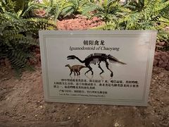 -辽宁古生物博物馆