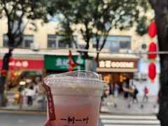 -一树一叶·福建茶档(石鼓路店)