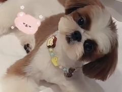 -戏作寿司(观音桥店)