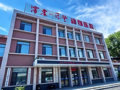 -派美特宠物医院·核磁CT·骨科肿瘤·疑难转诊(沈农禾丰店)