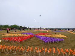 -水八仙生态园