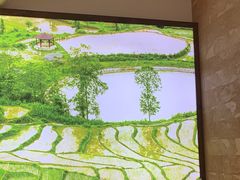 -诚食家厨(天心区政府店)