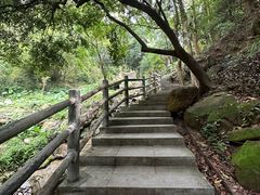 -火炉山森林公园