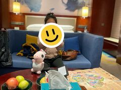 -常州环球恐龙城维景国际大酒店