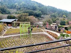 -广东天露山旅游度假区