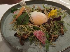 -Oyster Talks 四度蚝法餐厅
