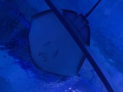 -海合安武汉极地海洋公园