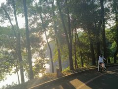 -红花湖景区