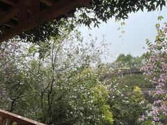 -广州莲花山旅游区