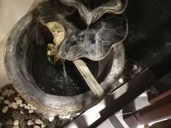 -晓寿司·精致料理(绿地店)